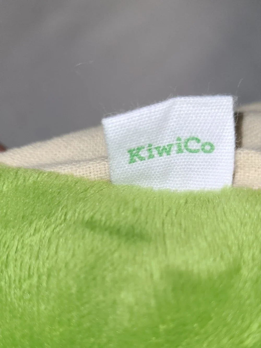 KiwiCo Plush Green Froggie Dissection Lab Soft STEM learning, interactive, learn